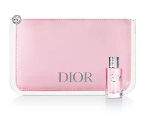 dior gwp 2022